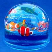 Paperweight Photo Dome Fish